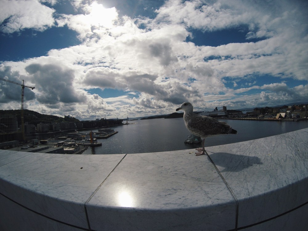 Processed with VSCO with hb2 preset