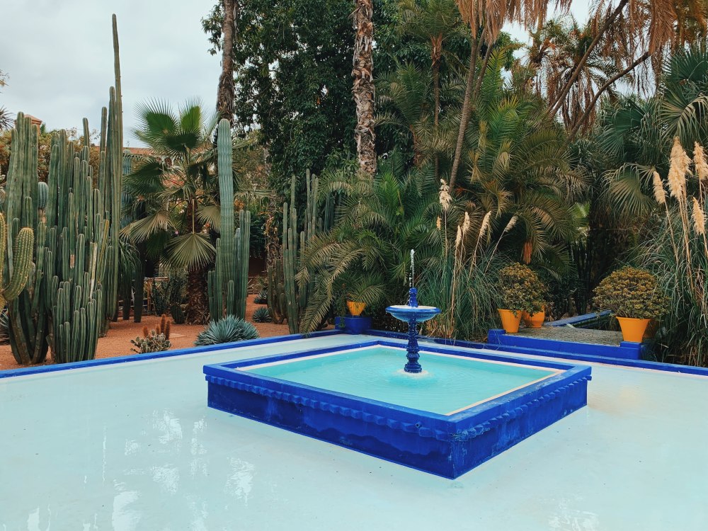 Processed with VSCO with c7 preset