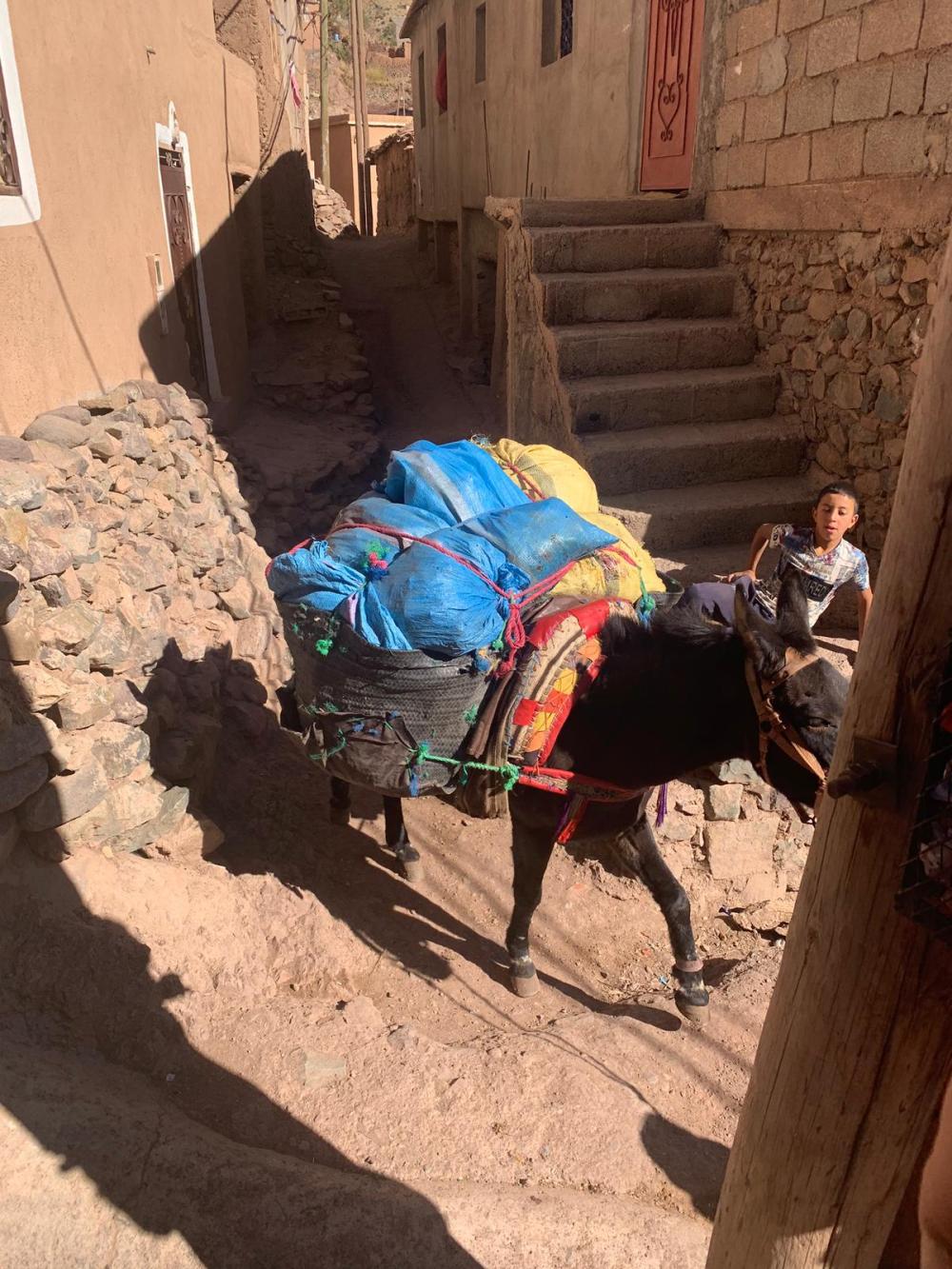 WhatsApp Image 2020-02-15 at 18.52.27